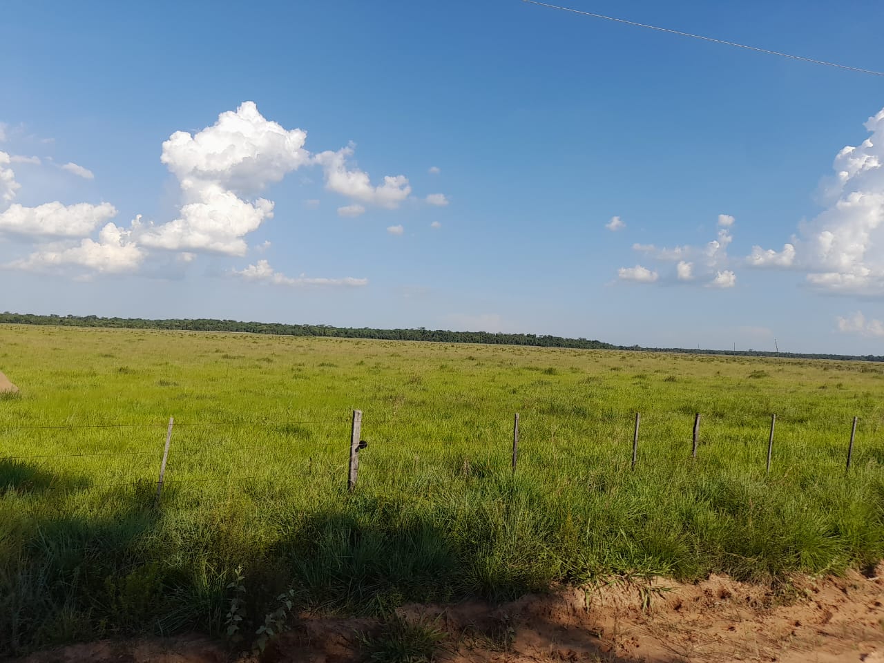 Vendo Propiedad de 480 Has en Caazapá, Zona San Juan Nepomuceno - CLCS7387261 — foto 3