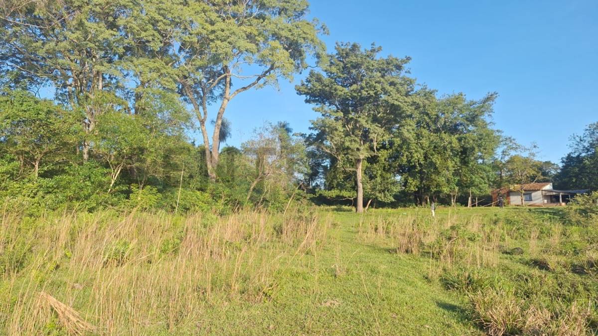 Vendo hermosa propiedad con lago en Nueva Colombia — foto 2