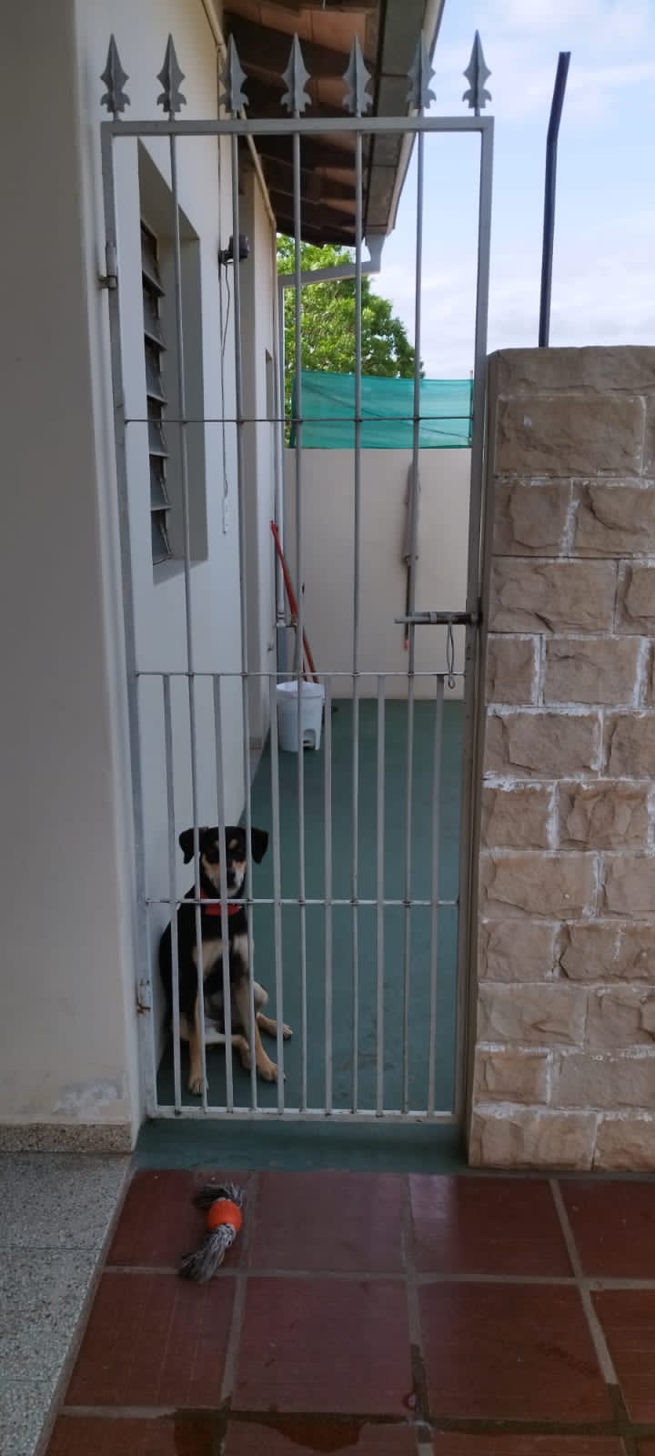 EN VENTA AMPLIA CASA EN FERNADO DE LA MORA ZONA SUR — foto 3