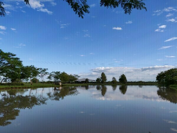 EN VENTA PROPIEDAD RURAL TOTALMENTE DESARROLLADA VILLA HAYES — foto 3
