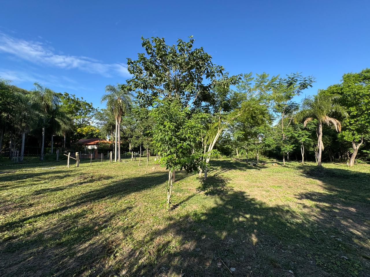Terrenos en venta, San Bernardino - Ciervo Cua — foto 2