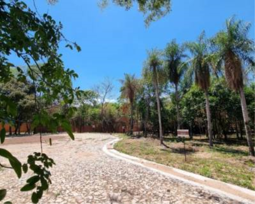 VENDO Terreno en Piedras Blancas - San Bernardino — foto 2