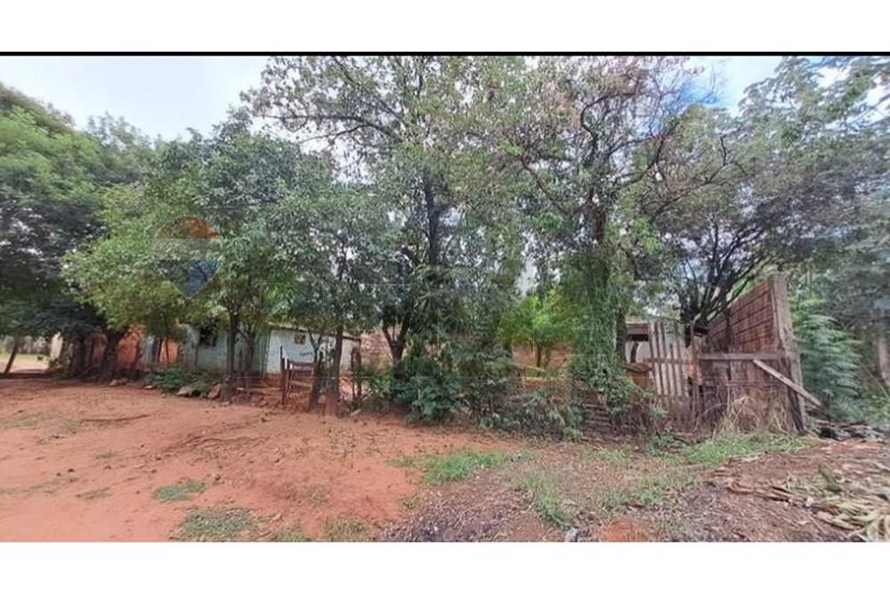 TERRENO EN VENTA EN ISLA BOGADO — foto 3