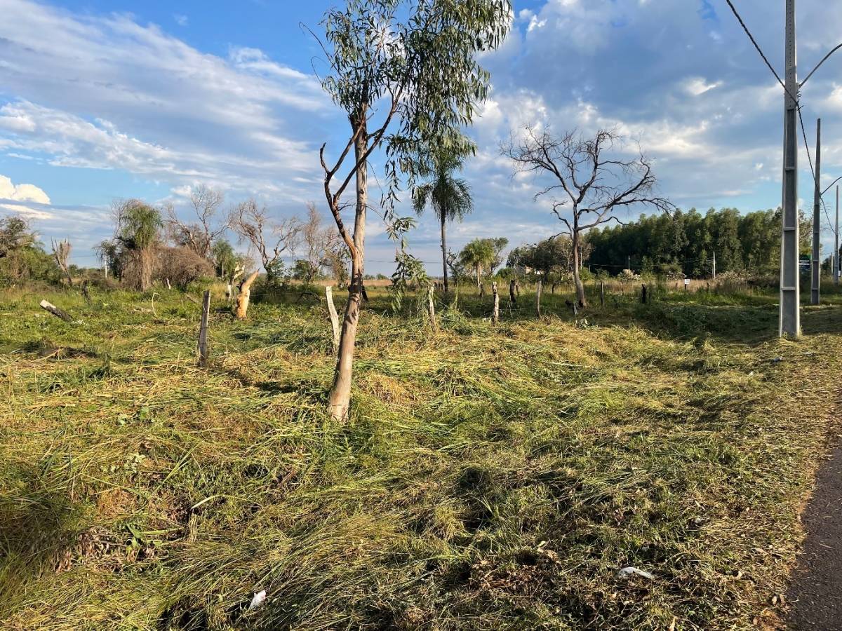 EN VENTA 2 TERRENOS JUNTOS SOBRE RUTA LUQUE-SANBER ZONA CIERVO CUA — foto 2