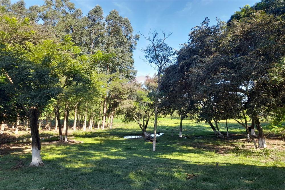 Terreno en venta en Yataity del Norte — foto 2