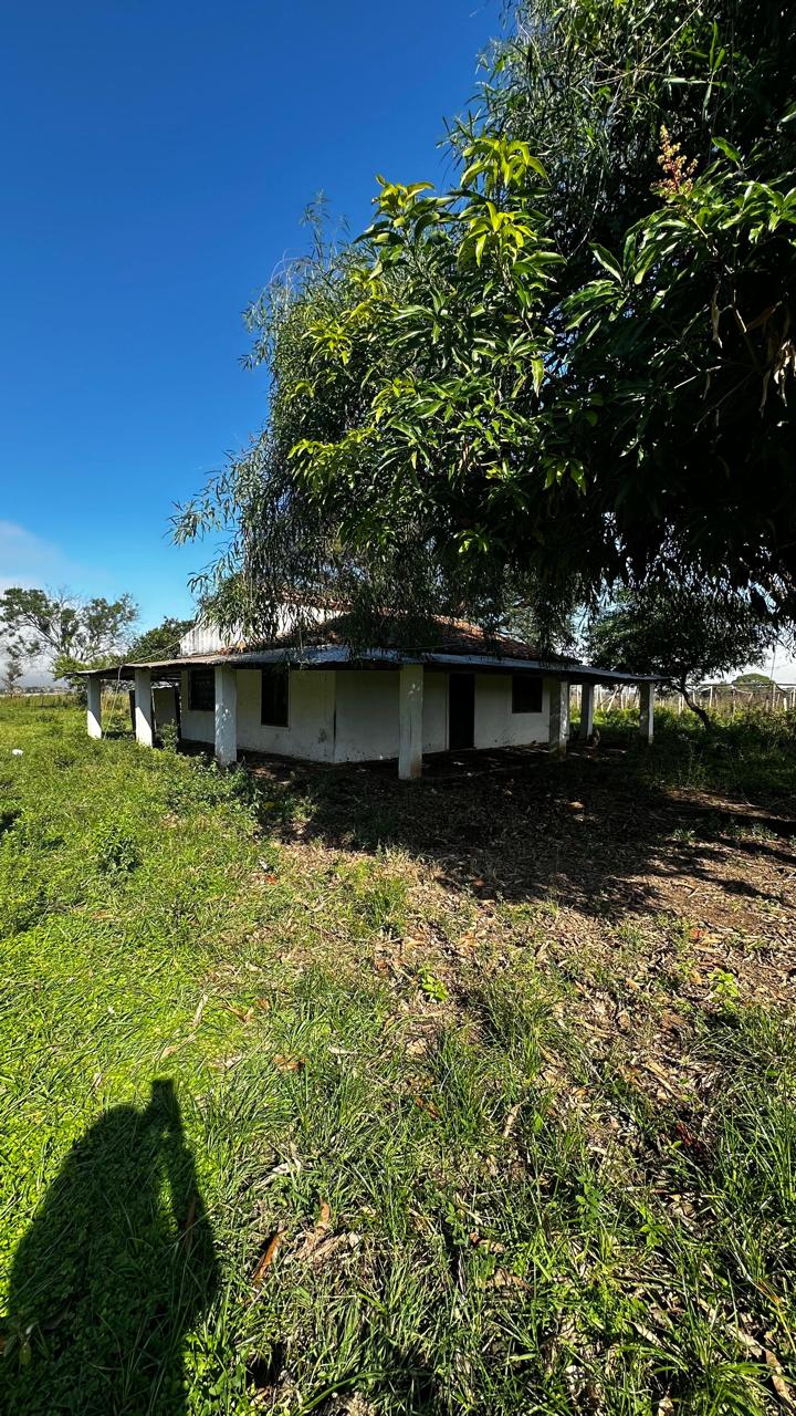 EN VENTA CAMPO DE 50 HECTAREAS ????ARROYOS Y ESTEROS — foto 2