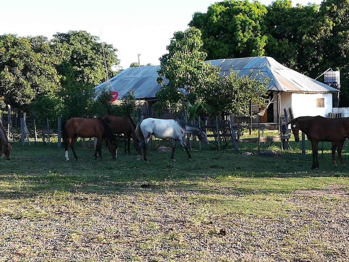 VENDO ESTANCIA EN CAAPUCU — foto 2