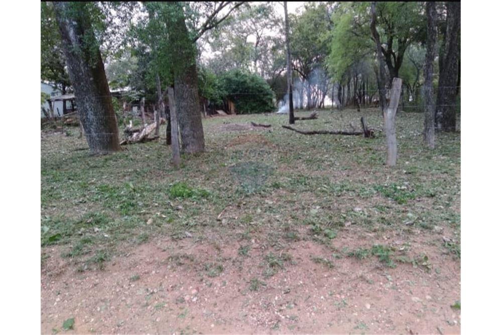 OPORTUNIDAD DE TERRENO EN CIERVO CUA — foto 2