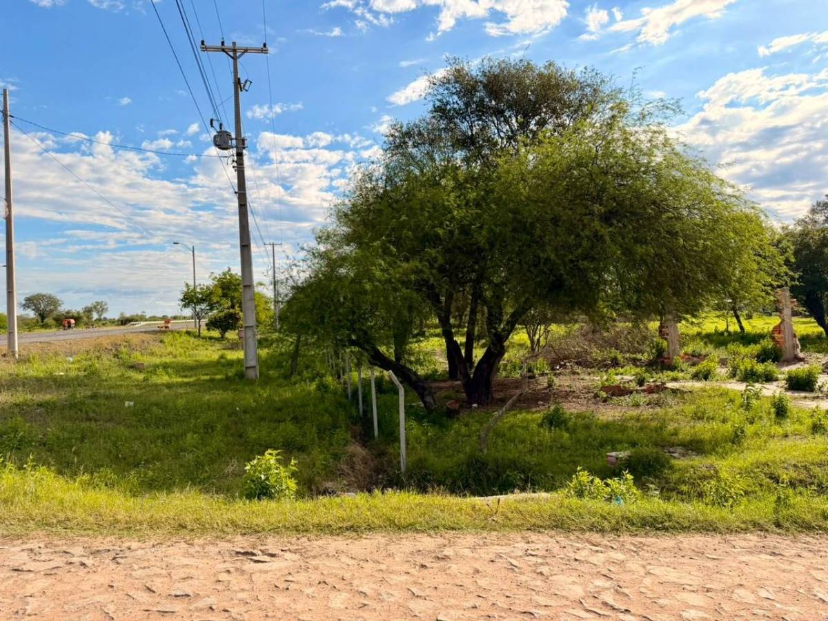 EN VENTA TERRENO DE 13,88 HECTAREAS SOBRE RUTA EN CHACO´I — foto 3