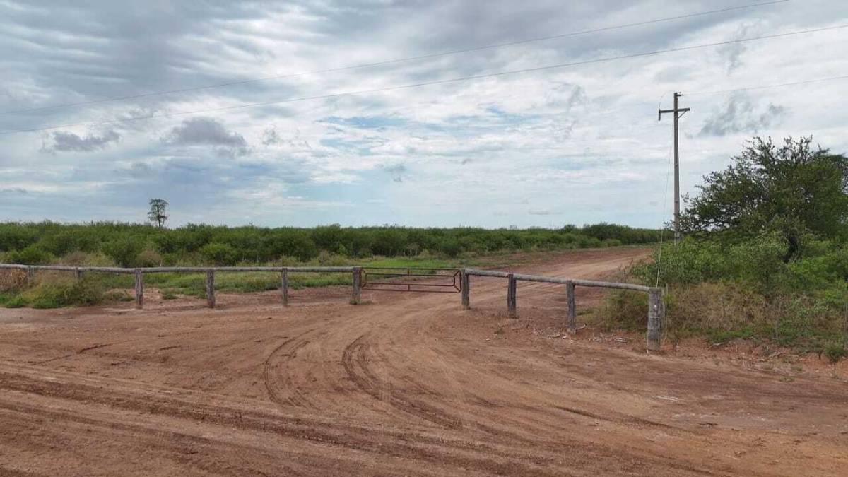 EN VENTA ESTANCIA DE 500 HECTAREAS ZONA TTE IRALA FERNANDEZ, CHACO — foto 2