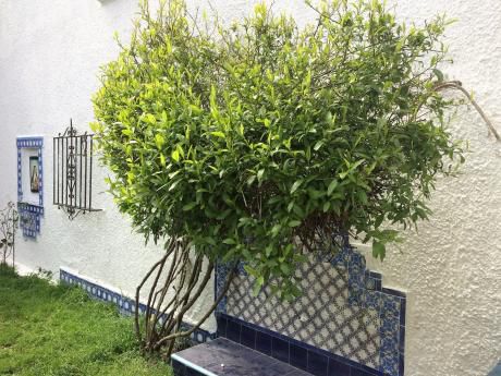 Sólida Casa, Amplia ,soleada , En Muy Buena Ubicación