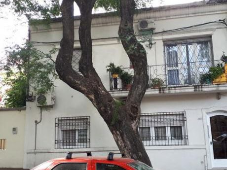 Apartamento En Parque Batlle