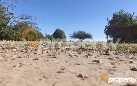 Propiedad Ganadera Y Agrícola - Las Conchas