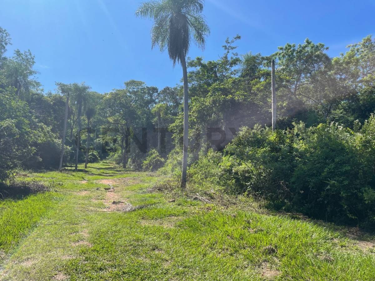 SE VENDE TERRENO DE 850 M2 EN SAN BERNARDINO, LA GRUTA — foto 3