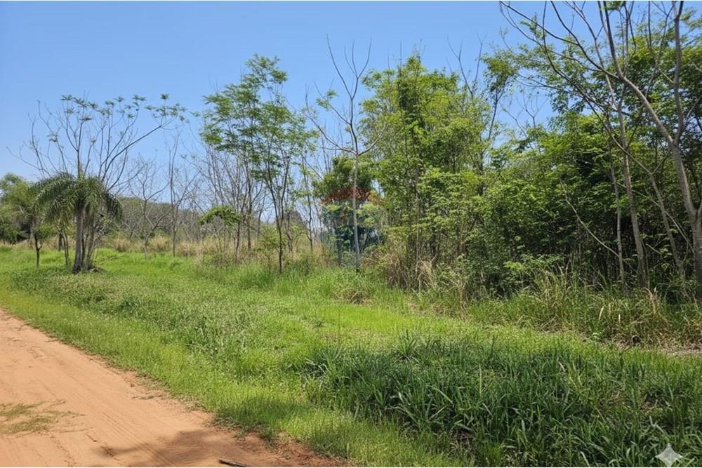 terreno — foto 3
