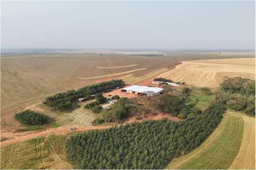 Finca Agrícola-Venta-Ruta Departamental 006, Capiibary, San Pedro — foto 2