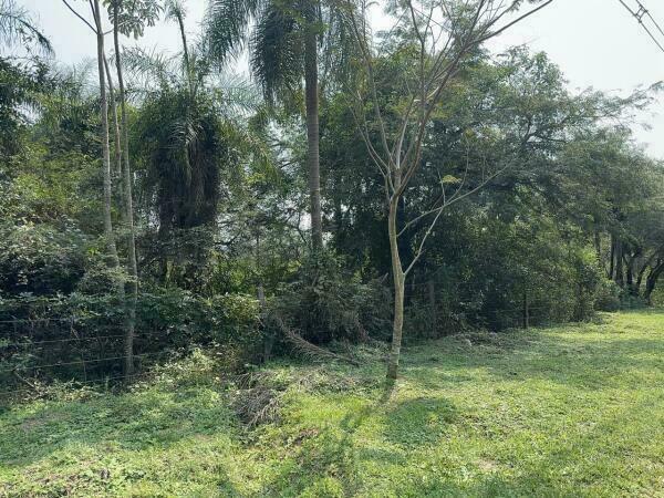 EN VENTA TERRENO EN ESQUINA DE 67,236 M2 EN BARRIO COLON SAN BERNARDINO — foto 2
