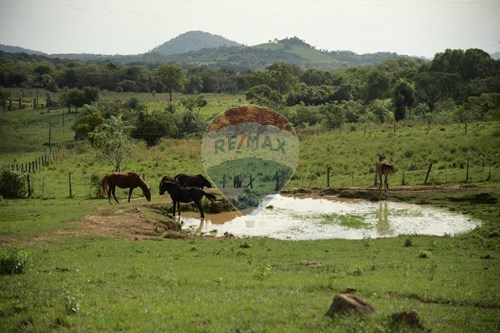 Estancia de 590 hectáreas en Caballero Paraguari — foto 2