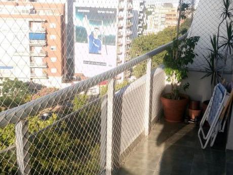 Rivera Y Soca