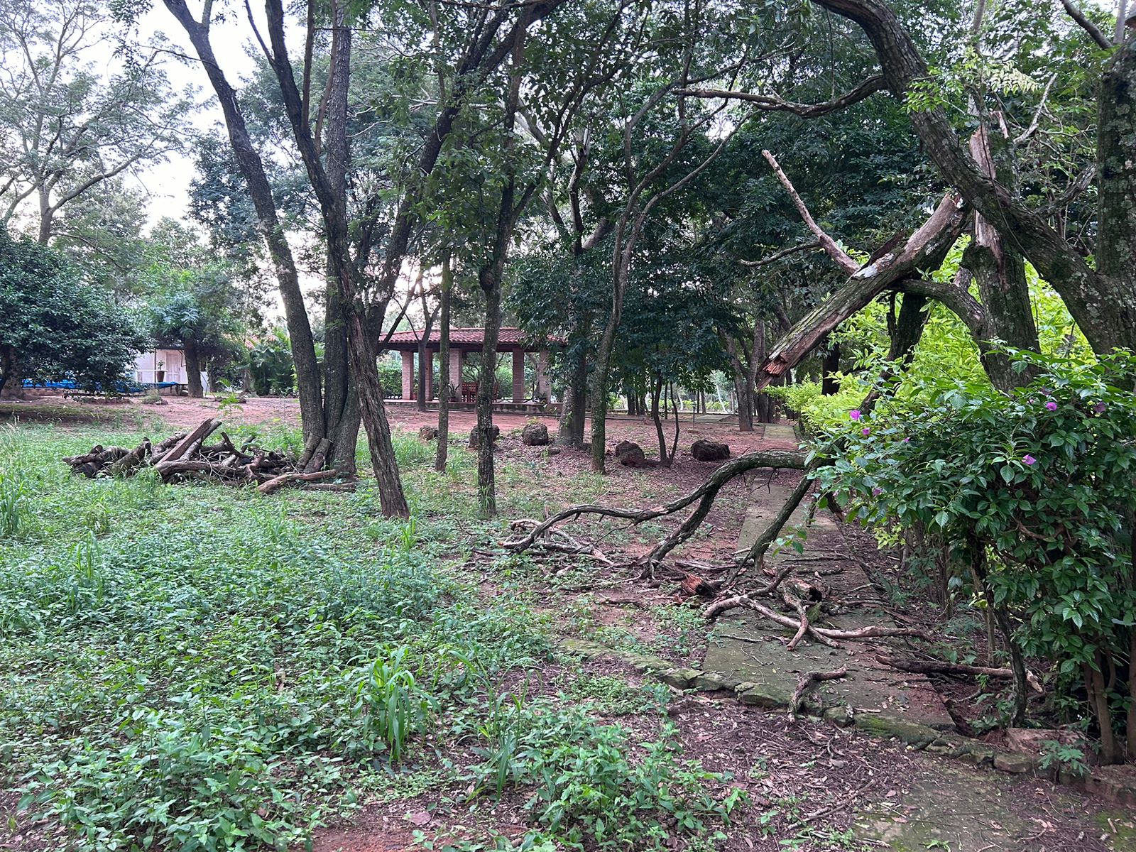 VENDO PROPIEDAD EN ALTURA A LADO DE AQUA VILLAGE — foto 3