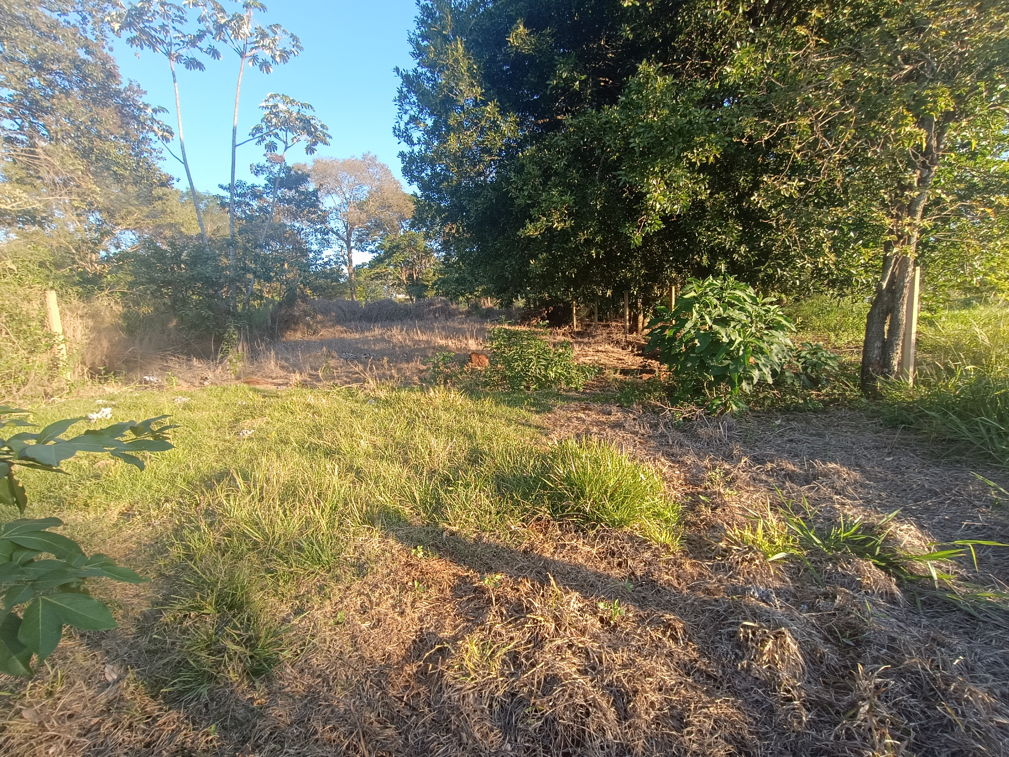 Terreno a 2 cuadras de la Costanera CDE — foto 3