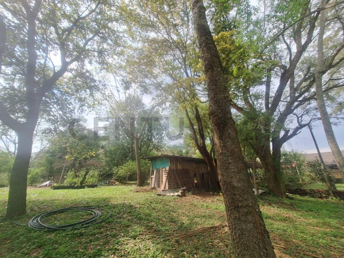 Vendo amplio terreno en Caacupe — foto 3