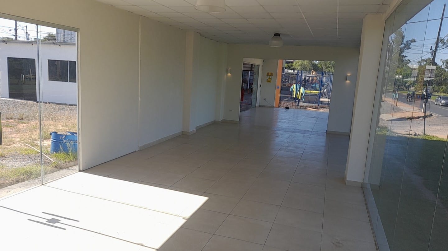 ALQUILO TERRENO SOBRE AVDA MADAME LYNCH — foto 3