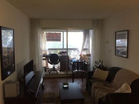 Impecable Apartamento En Punta Carretas