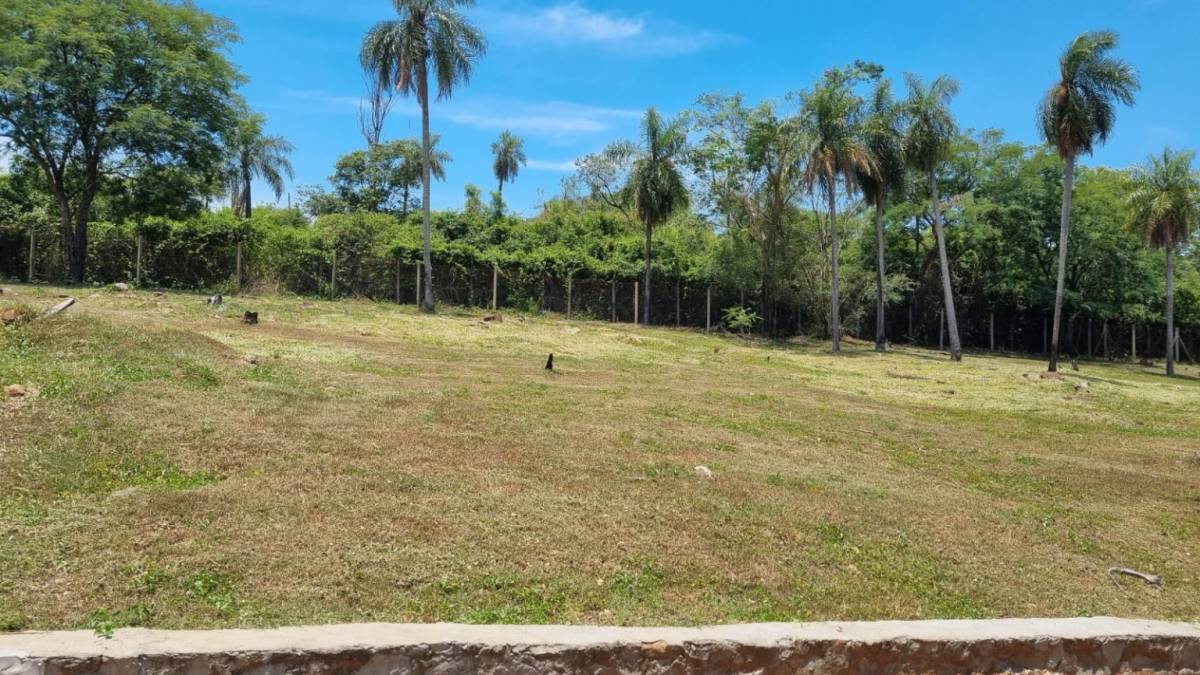 VENDO DOS TERRENOS EN ALTOS BARRIO ALTA PIETRA — foto 2