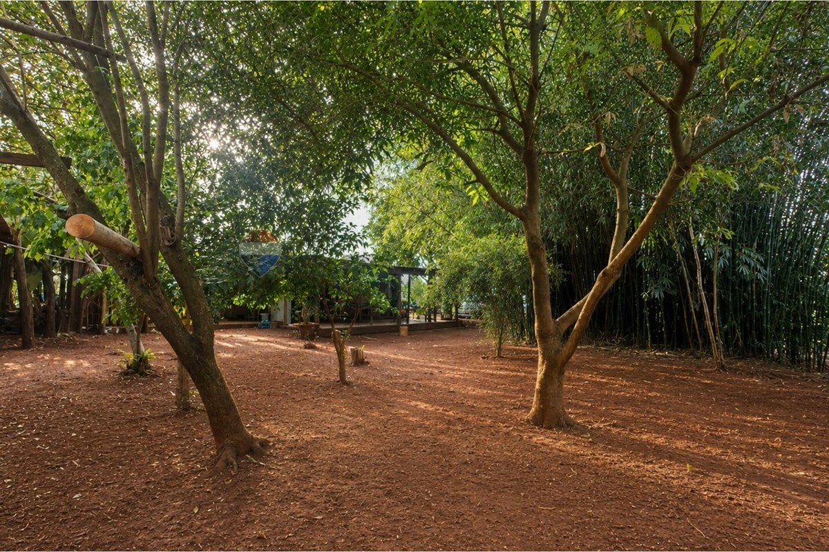 Vendo terreno en Hernandarias — foto 3