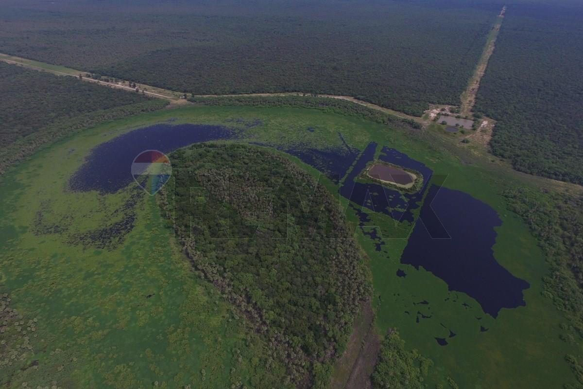 Excelente oportunidad Campo virgen Chaco Paraguayo — foto 2