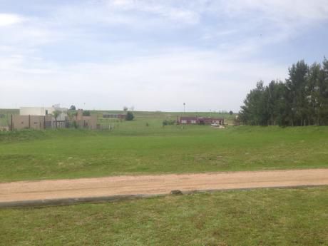 Terreno En Colinas De Carrasco