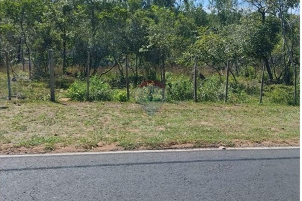 Terreno - Venta - Nueva Colombia — foto 2