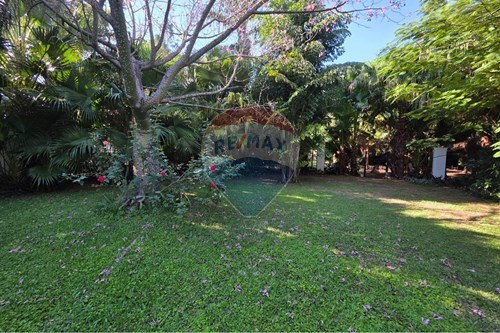 TERRENO EN VENTA, CORDILLERA SAN BERNARDINO — foto 3