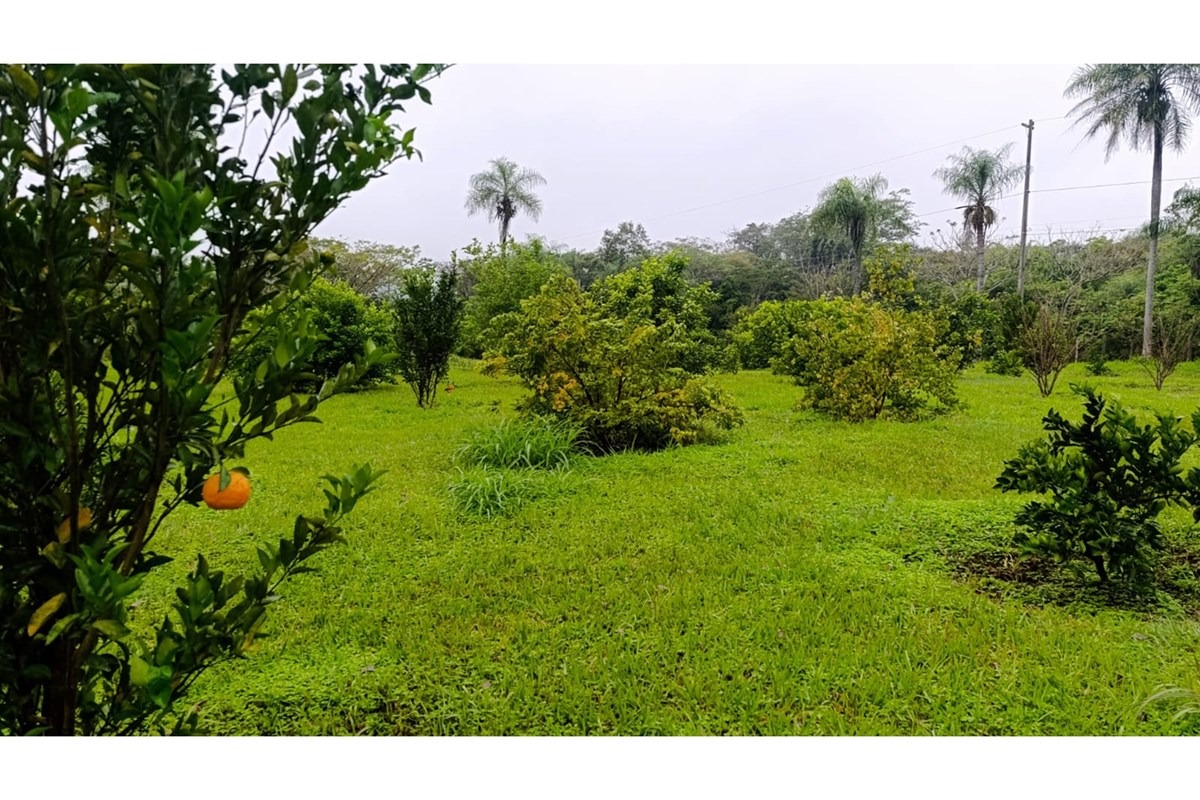 Terreno en venta de 11 hectáreas + 9.000 m² en ciudad Eusebio Ayala — foto 3
