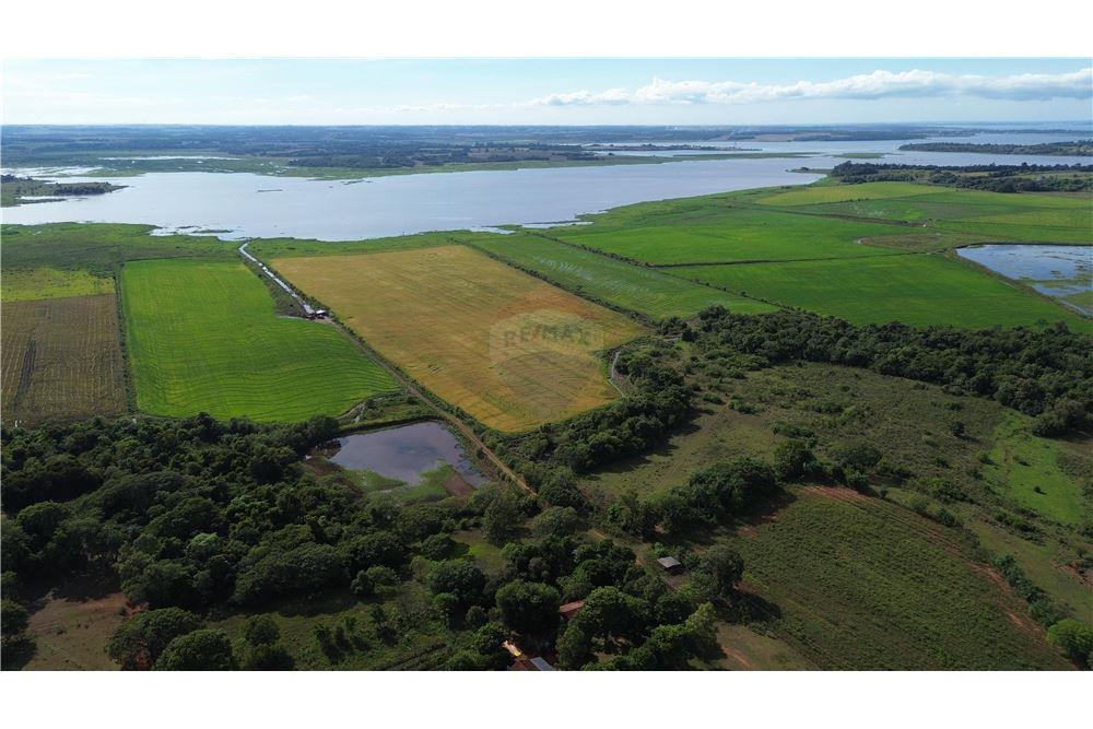 Espectacular Campo a la Venta de 34 Has – Coronel Bogado. — foto 3