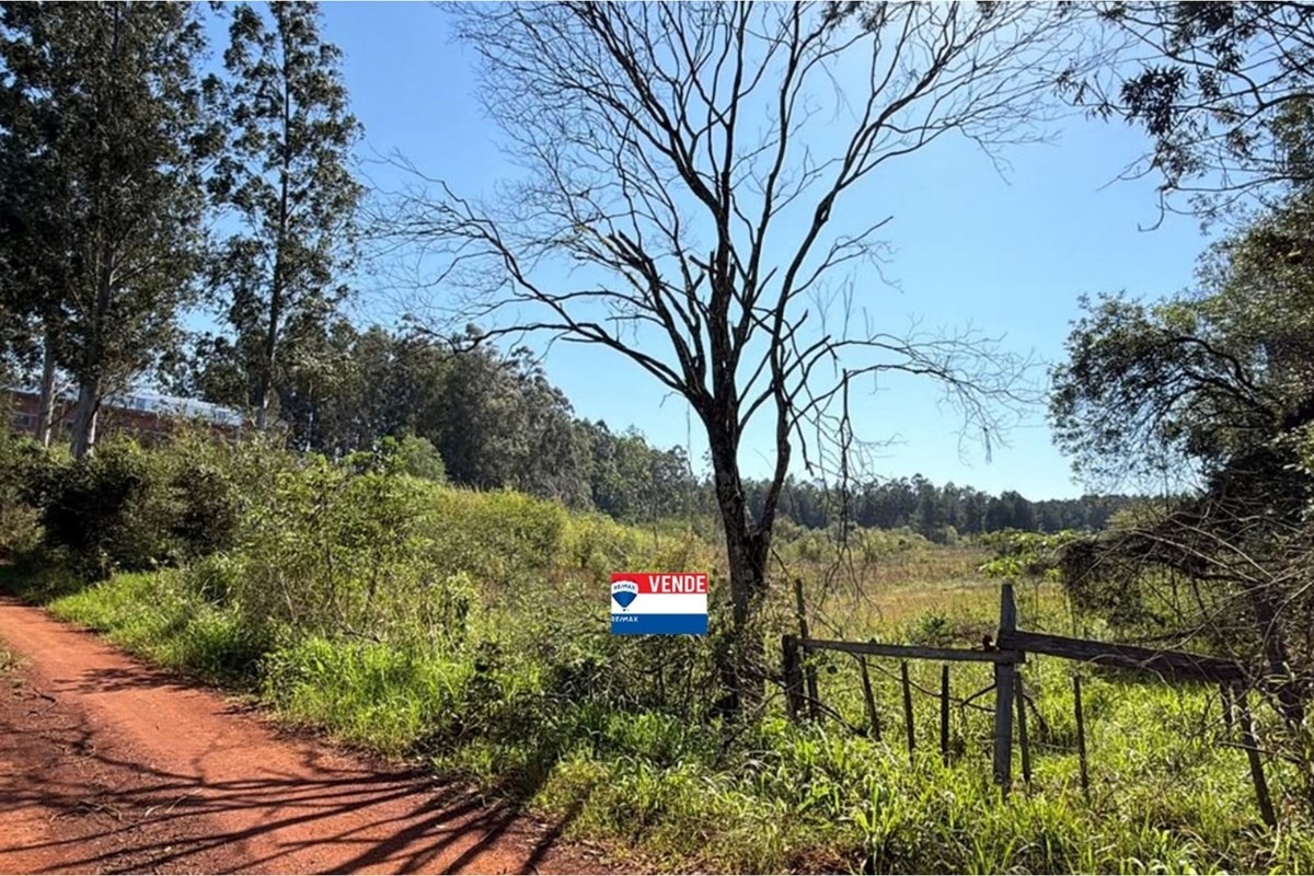 Venta de Terreno BELLA VISTA, ITAPÚA — foto 3