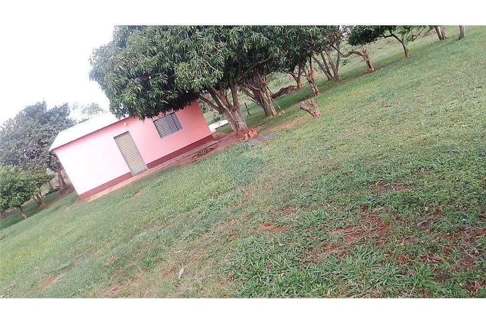 Vendo 12 Hectareas En Curuguaty — foto 3