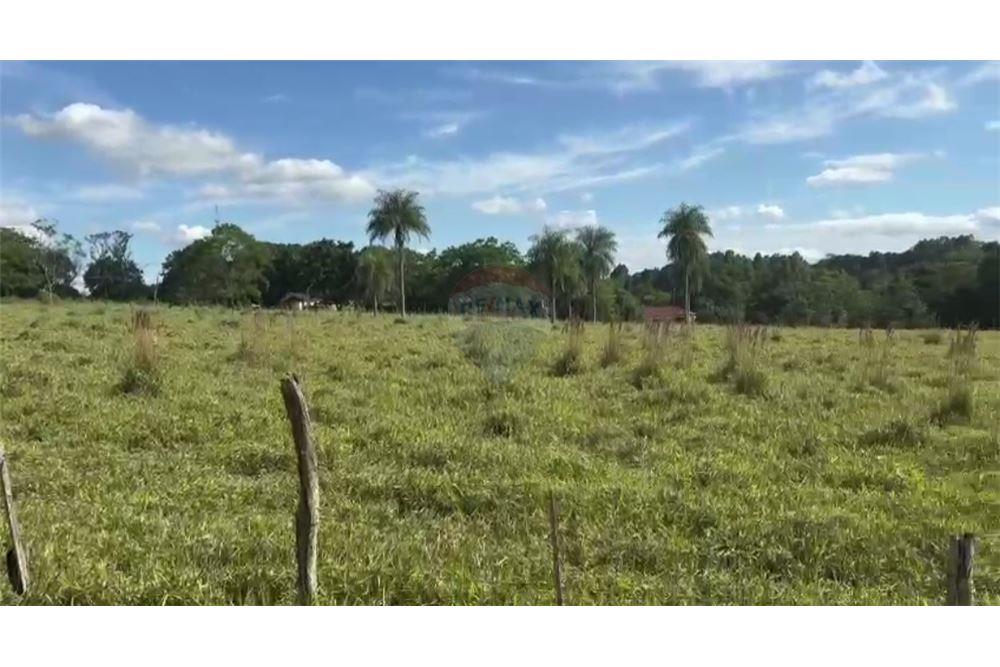 VENDO 2.4 HECTAREAS EN COLONIA INDEPENDENCIA — foto 3