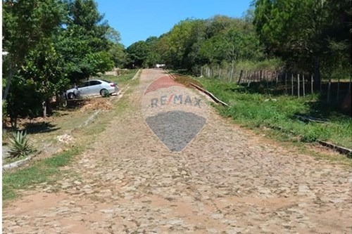 TERRENO EN NUEVA COLOMBIA — foto 3