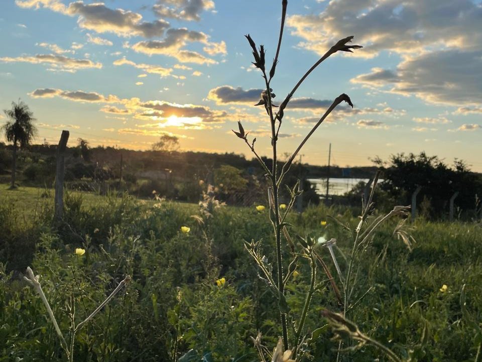VENDO TERRENO EN KM 13 ACARAY CIUDAD DEL ESTE — foto 2
