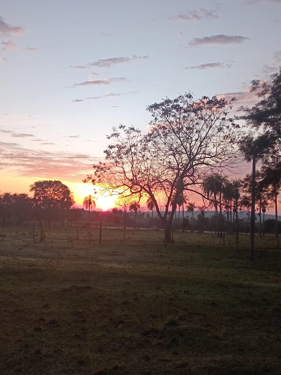 Hermosa granja de 5 hectáreas en venta - PRIBEBUY — foto 3