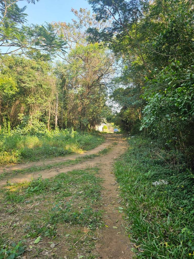 VENDO TERRENO EN LUQUE EN TAPUA — foto 3