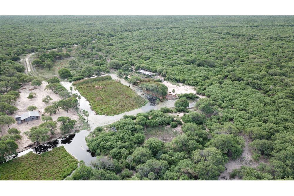 Estancia en villa Hayes .7500ha — foto 2