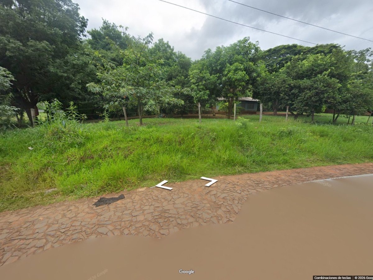 VENDO TERRENO DE 1 HECTÁREA EN BARRIO SANTO DOMINGO — foto 2