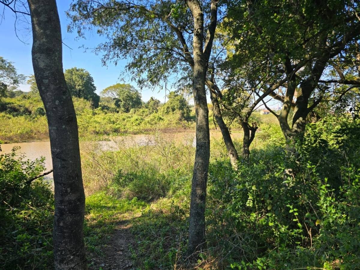 Precioca Propiedad sobre Riacho Payagua , Vecino de La Rivera, Chacoi — foto 3
