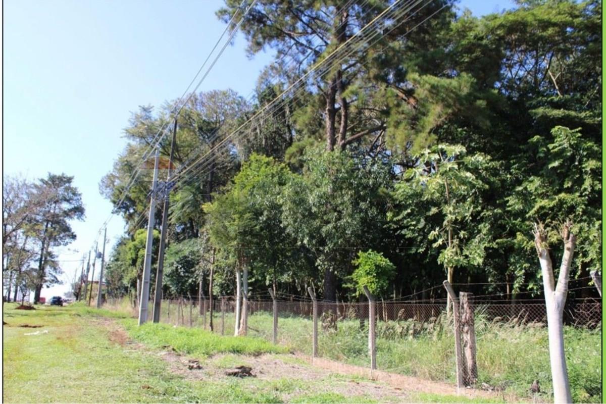 VENDO 18 HECTAREAS EN MINGA GUAZU SOBRE RUTA 2 — foto 3