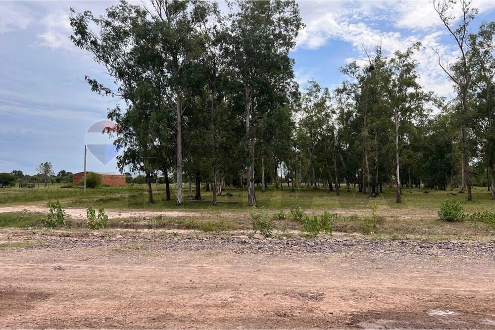 Terreno en venta en Villa Hayes — foto 3