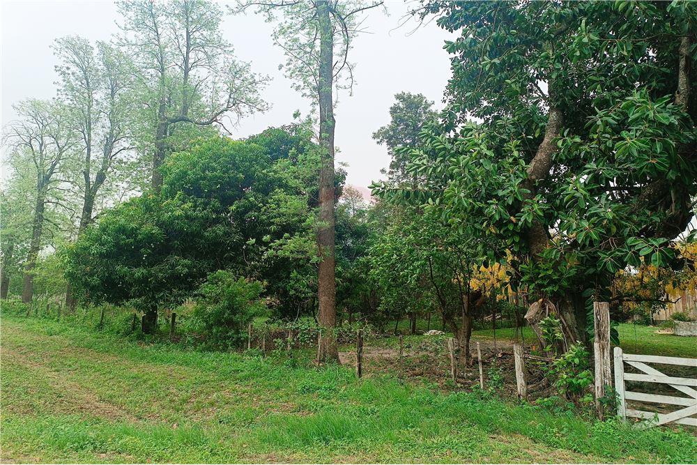 Vendo Estancia en San Pedro - Antequera — foto 3