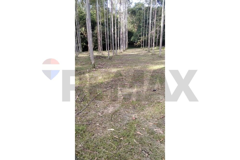 Terreno - Venta - Itacurubí De La Cordillera, Paraguay — foto 3